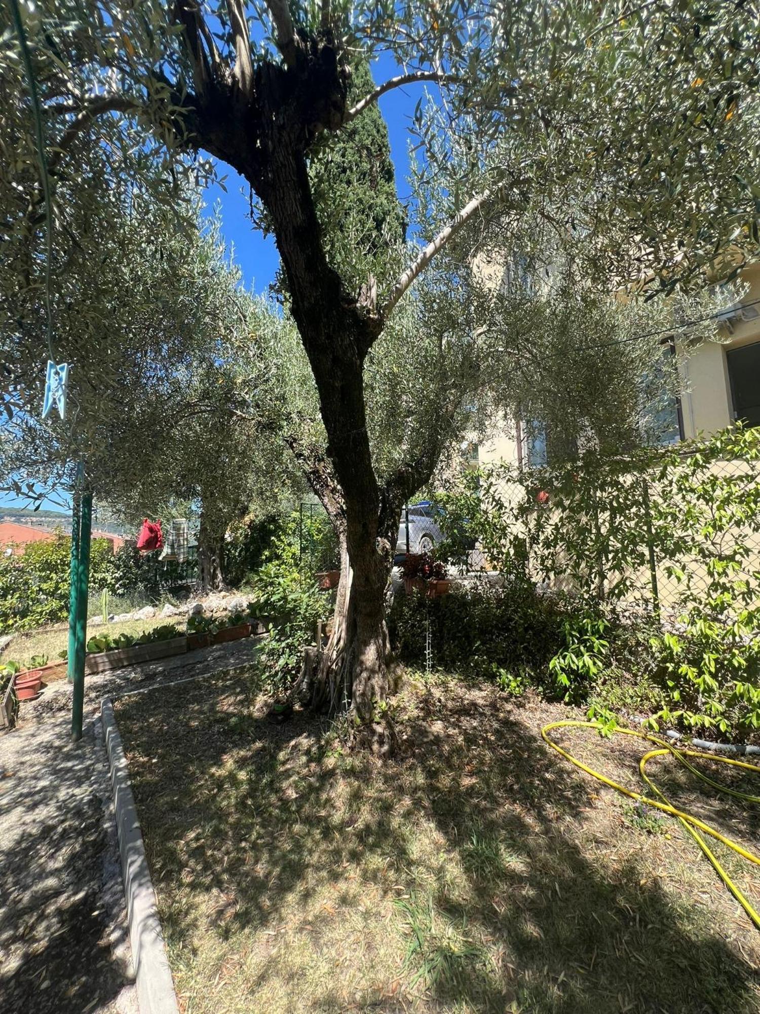 La Locanda Delle Idee Santa Lucia Perugia Exterior photo
